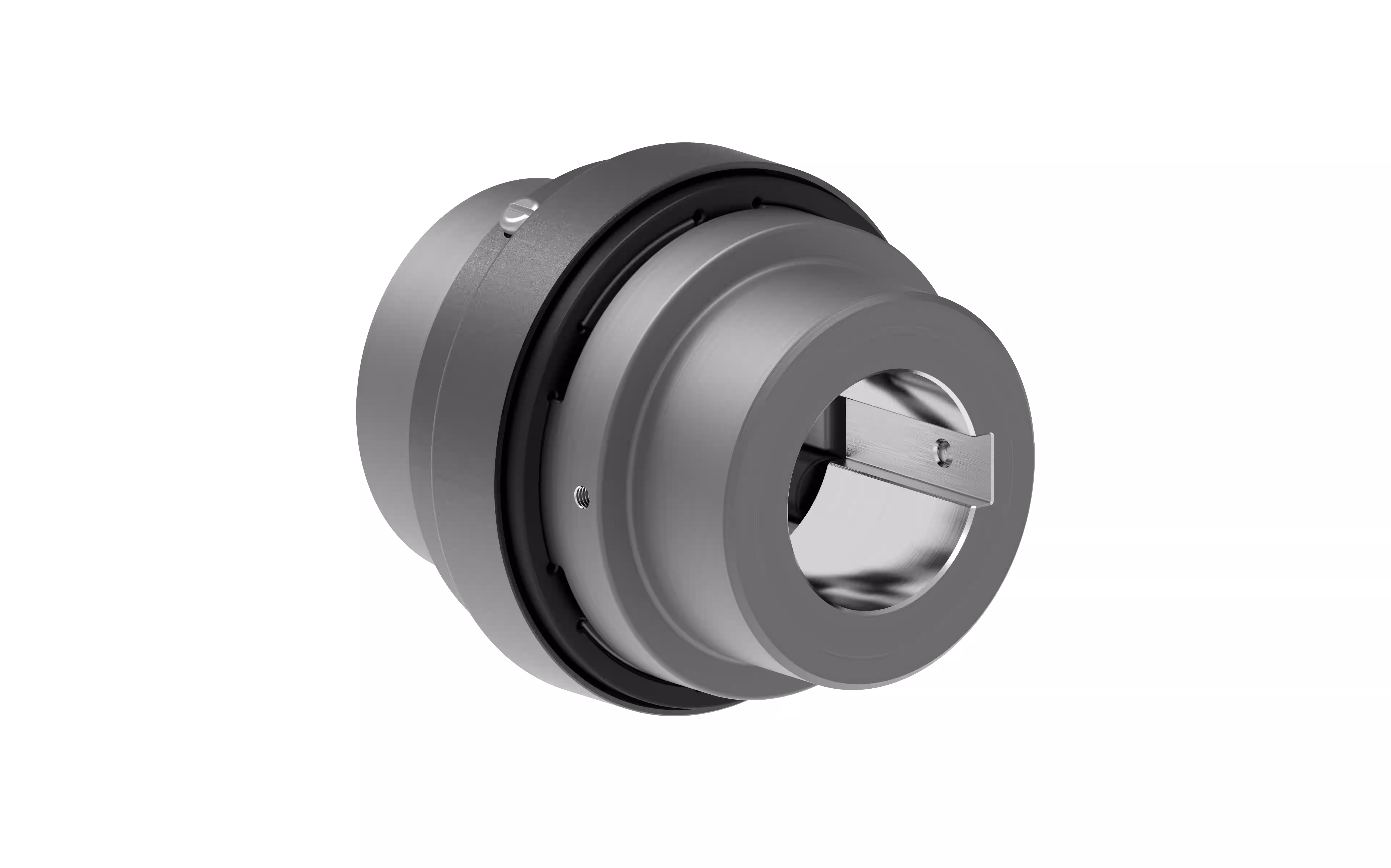 RLES SW Jaw Coupling