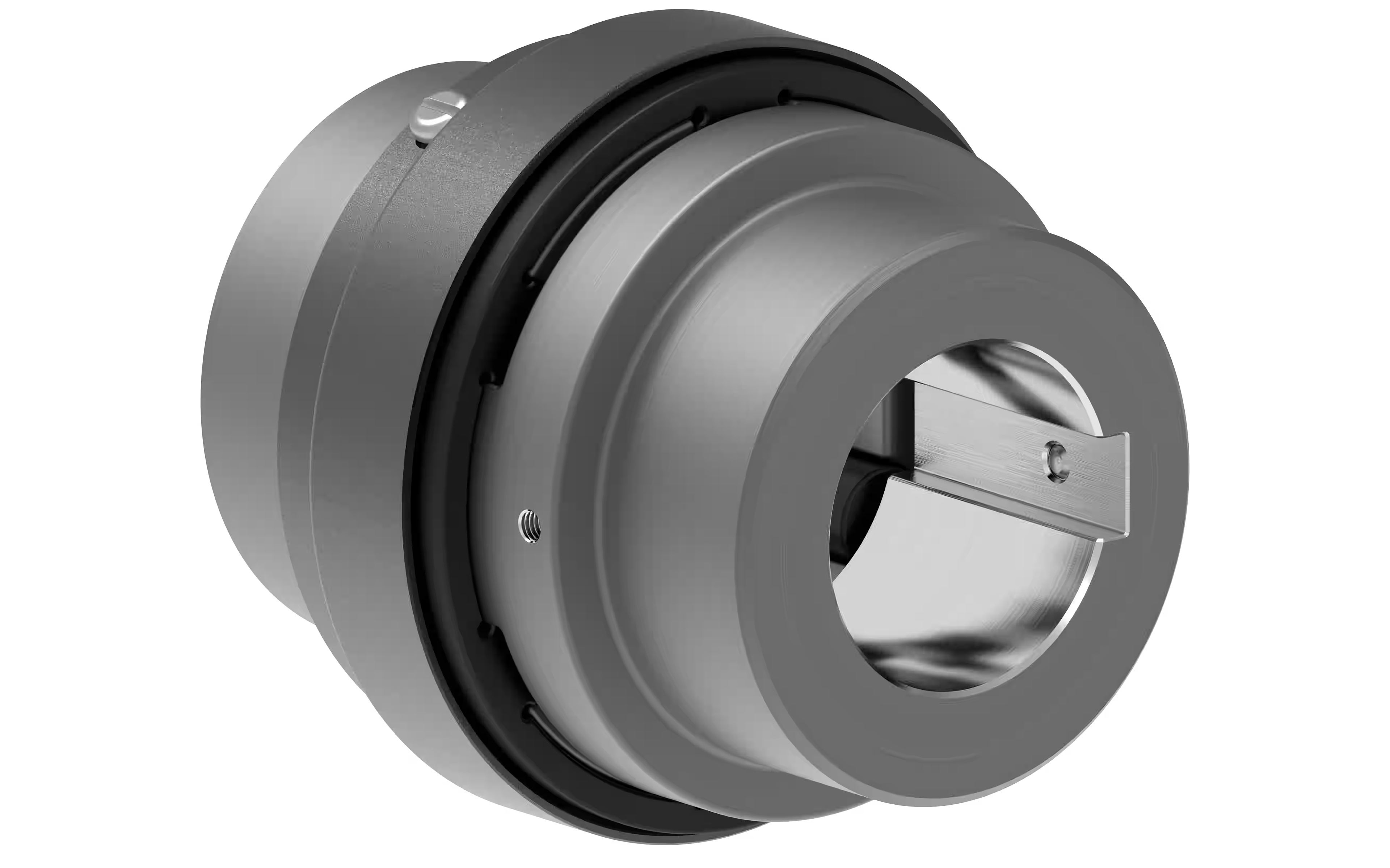 RLES SW Jaw Coupling