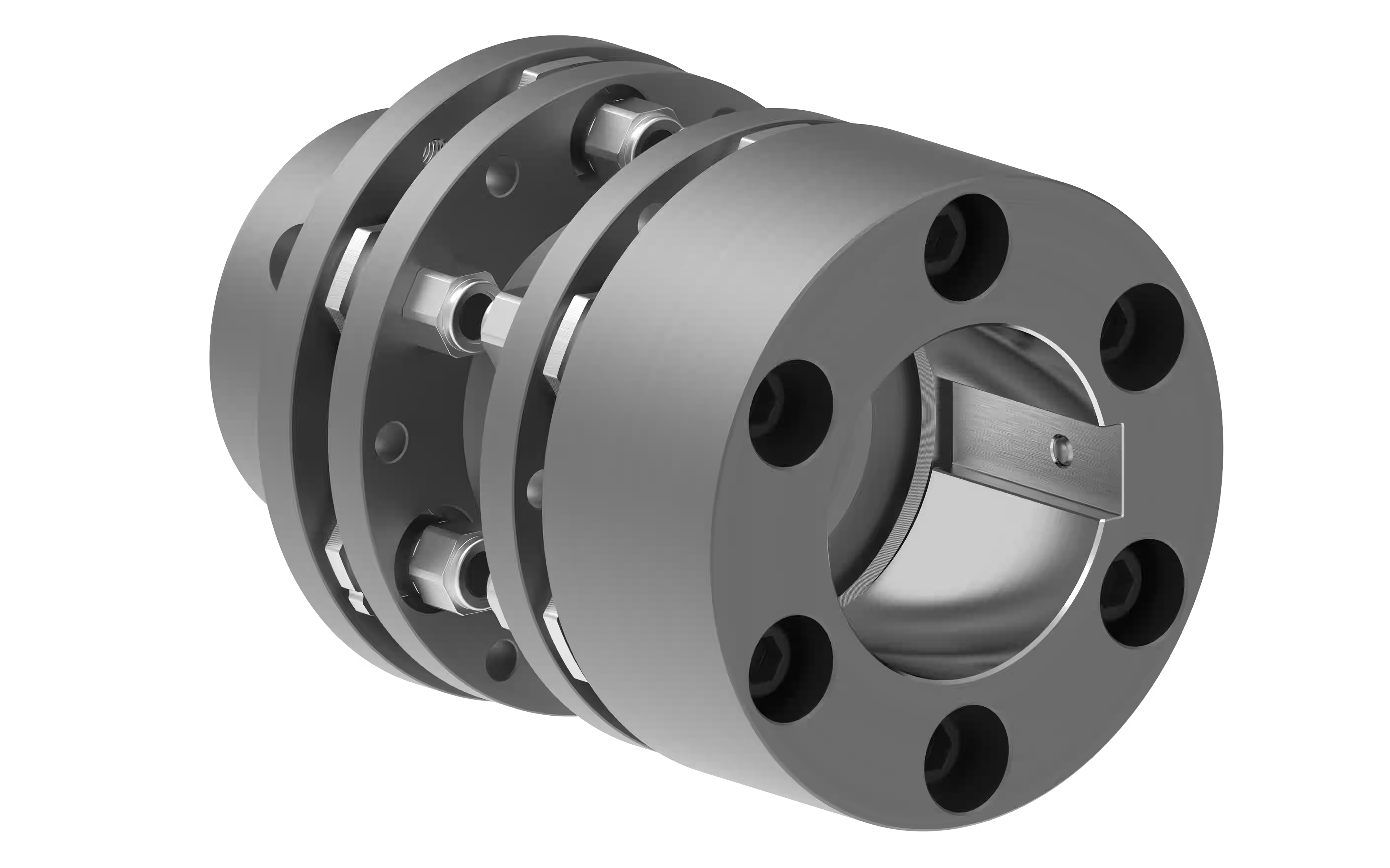 Disc / Laminae Non-API Couplings (RLDS BSB/ RLDS BWB Series)