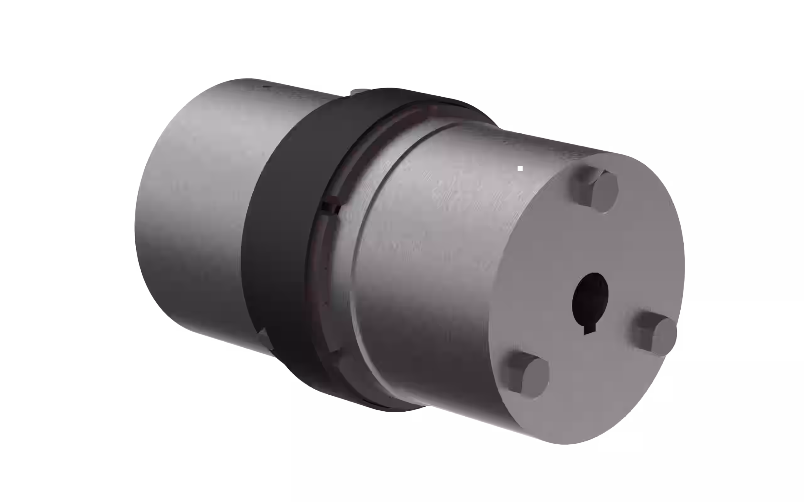 SWQ Jaw Coupling